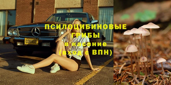не бодяженный Алексин